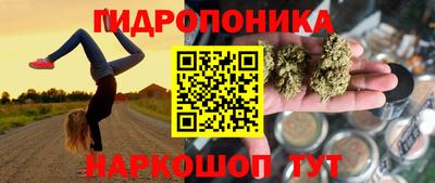 ECSTASY Гусь-Хрустальный