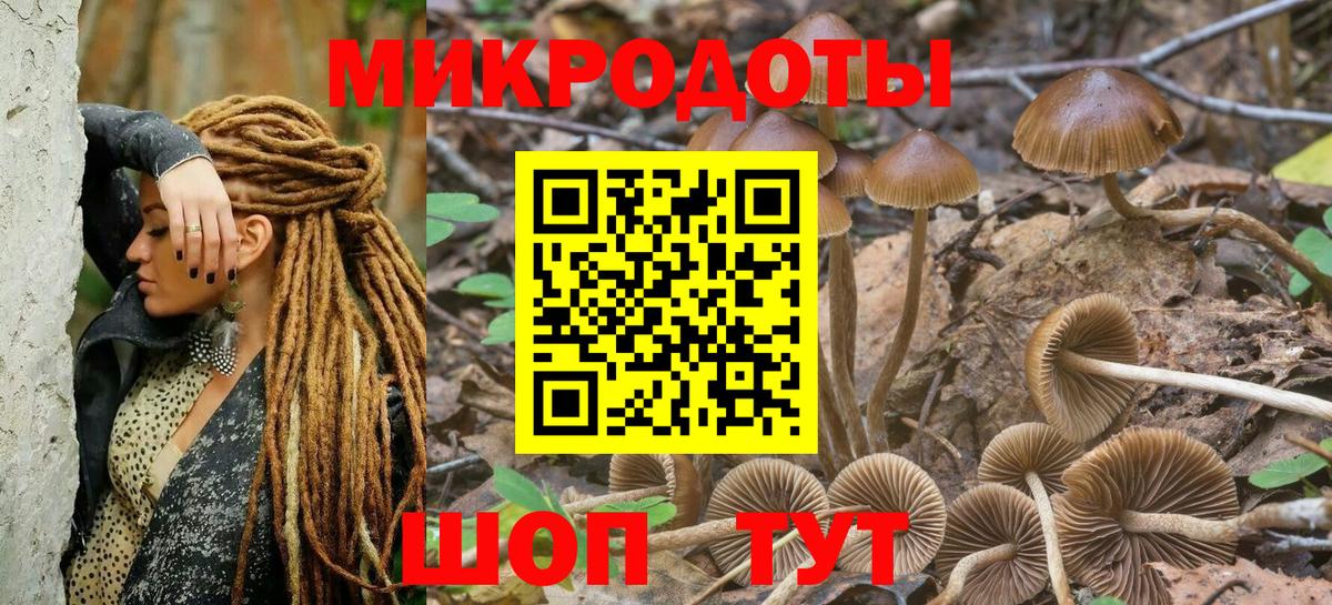 Мариинск  Галлюциногенные грибы мухоморы  Вход с VPN 