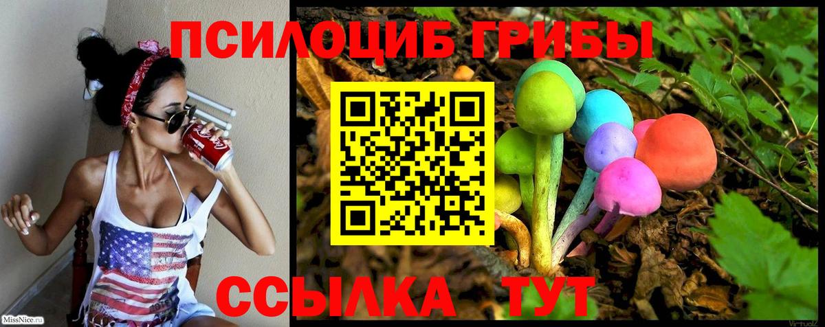 Псилоцибиновые грибы GOLDEN TEACHER Мариинск