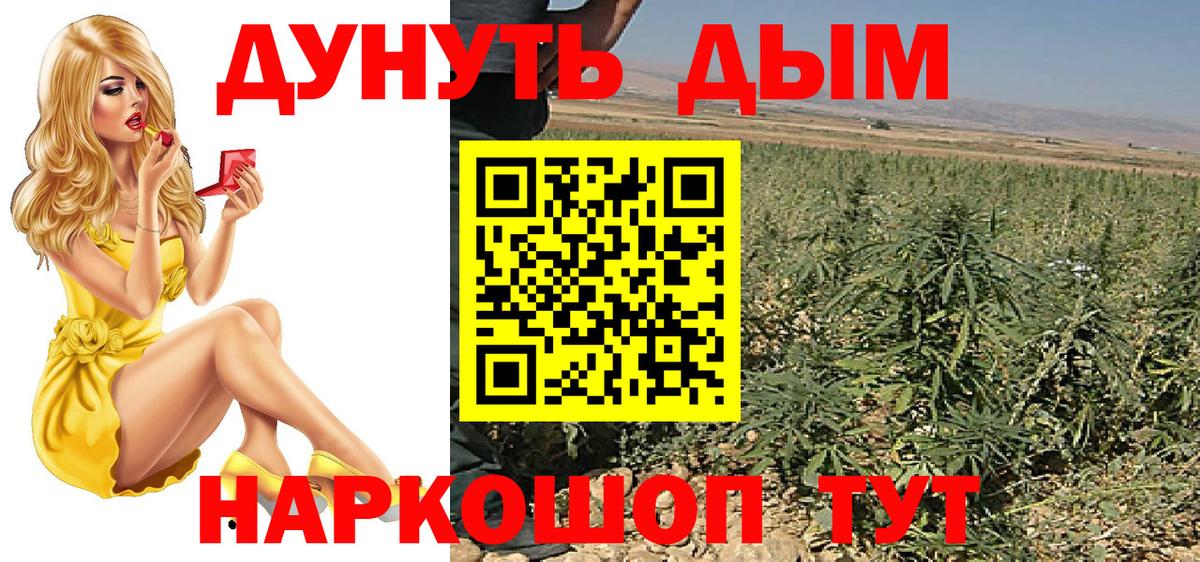 Каннабис OG Kush Мариинск